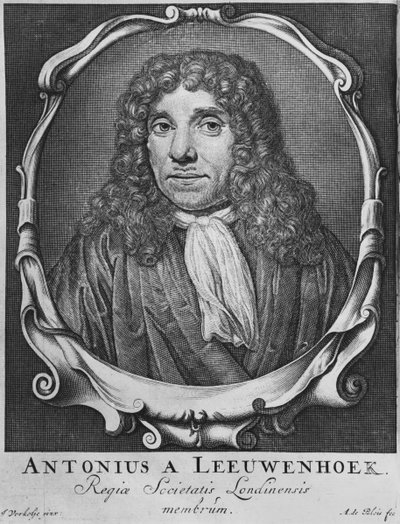Portrait of Anton Van Leeuwenhoek, illustration from 